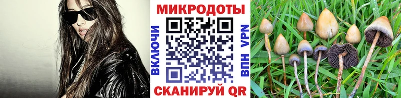 Псилоцибиновые грибы мицелий  дарнет шоп  Мензелинск 
